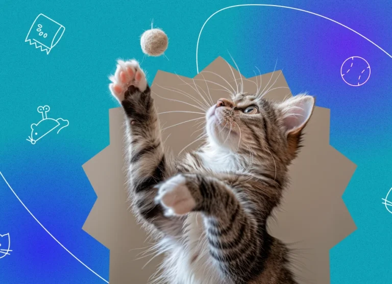 urn playtime into an exciting experience with the interactive cat ball. Keep your cat active, healthy, and entertained with this innovative toy.